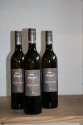 Picture of BIO Wein Muscaris 0,75L