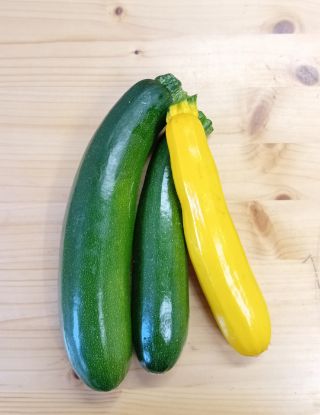 Zeige Details für Zucchini p. Stk. Bild von Zucchini p. Stk.