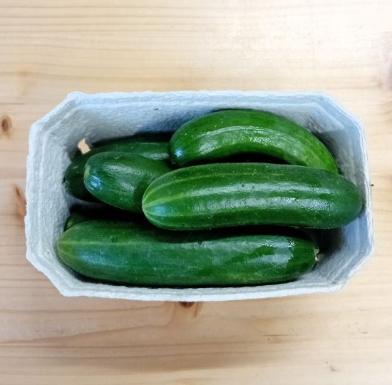 Bild von Snack Gurken 0,5 kg
