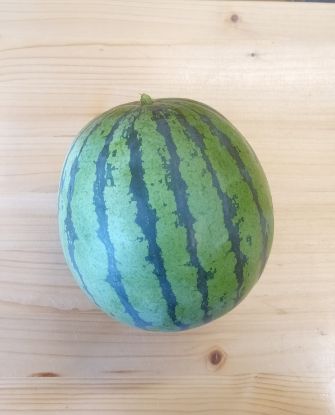 Show details for Wassermelone mini p. Stk. Picture of Wassermelone mini p. Stk.