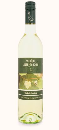 Welschriesling 2024, Vulkanland Steiermark DAC